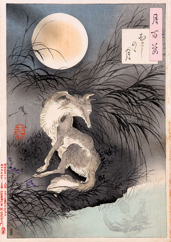 The Moon on Musashi Plain